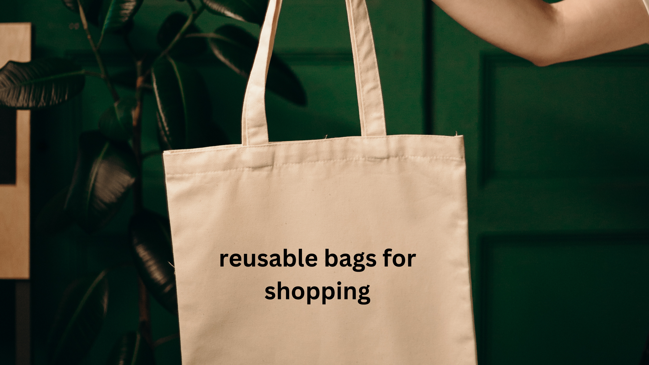 Reusable Bag for shopping